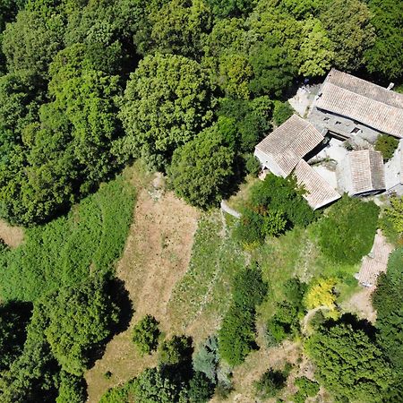 Saint-Martial Mas Des Nabieres住宿加早餐旅馆 外观 照片