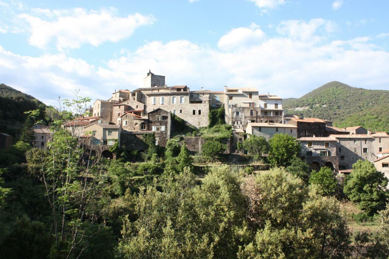 Saint-Martial Mas Des Nabieres住宿加早餐旅馆 外观 照片