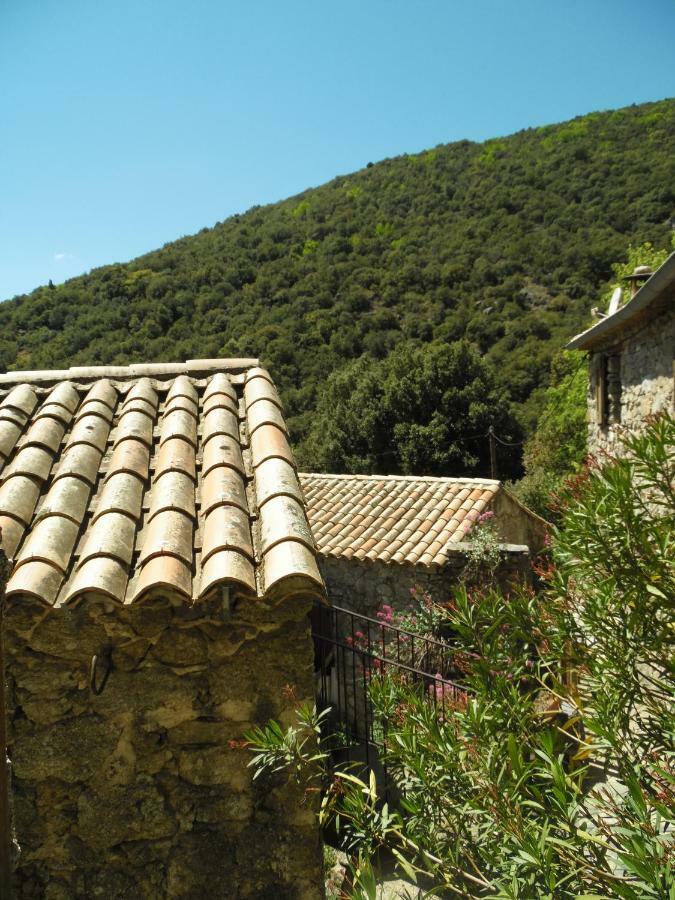 Saint-Martial Mas Des Nabieres住宿加早餐旅馆 外观 照片